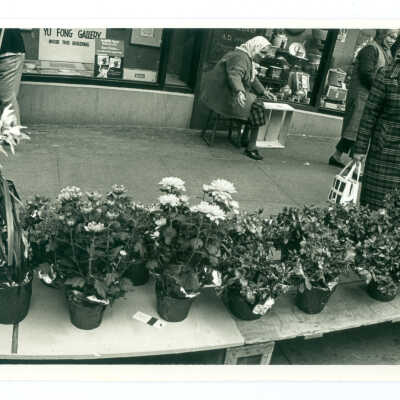 Photograph, Chinatown Flower Market