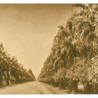 Kearny Ave., Fresno, Cal.
