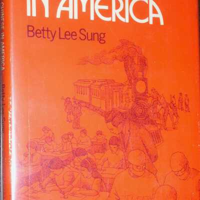 The Chinese in America
