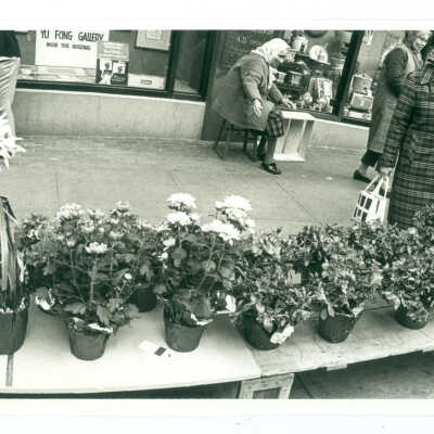 Photograph, Chinatown Flower Market