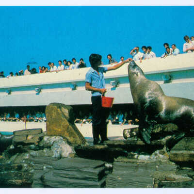 Postcard Set, China, Hong Kong, Ocean Park