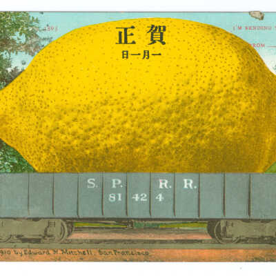 I'm Sending You a Lemon