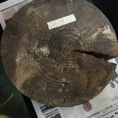 Wooden Cutting Board