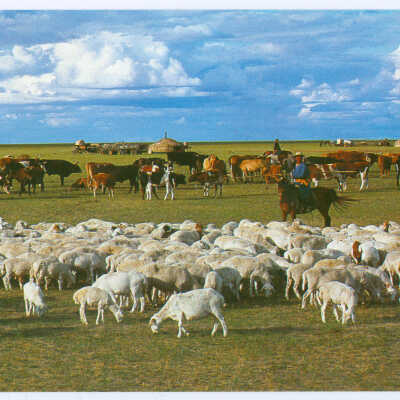Postcard Set, Mongolia, The Hulun Buir Grasslands