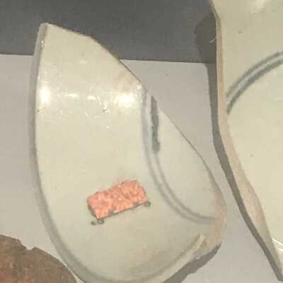 Coral