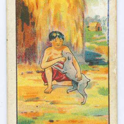 Tobacco Card, Young Man Playing With A Dog