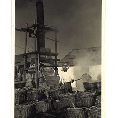 A Man Boiling Shrimp at Hunter's Point