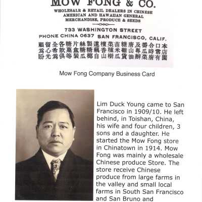 Biography of Lim Duck Young