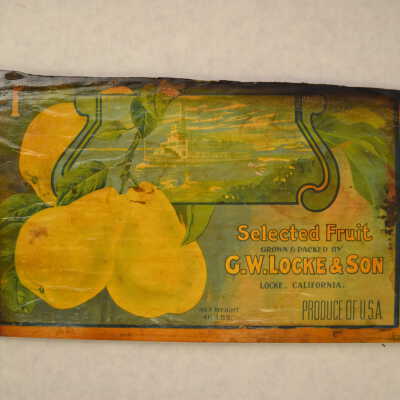 Crate Fragment