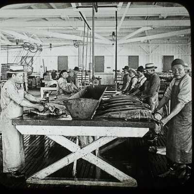 Glass Lantern Slide, Cannery