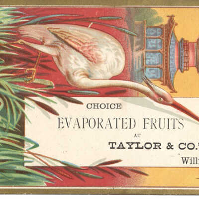 Taylor & Co.'s