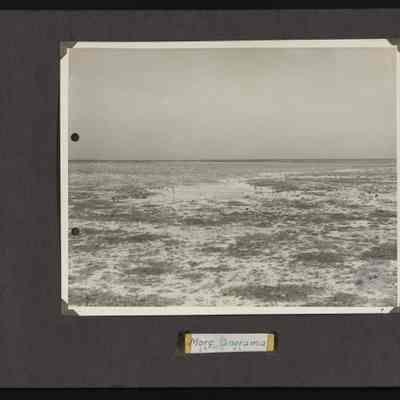 Image of landscape of Jarvis Island