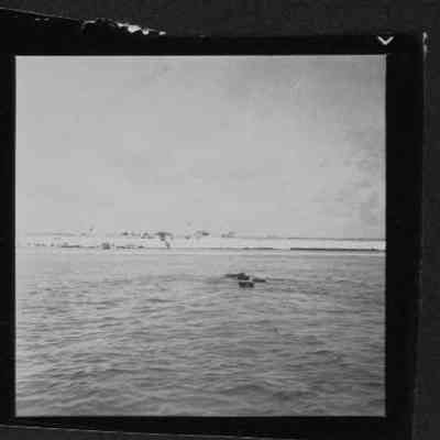 South Seas Expedition Photograph #11