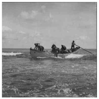 South Seas Expedition Photograph #29