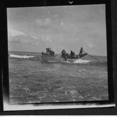 South Seas Expedition Photograph #6