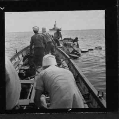 South Seas Expedition Photograph #15