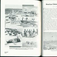 American colonists in the Central Pacific