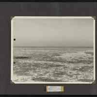 Image of the landscape of Jarvis Island