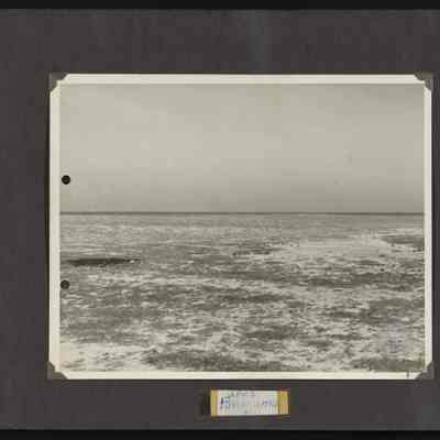 Image of the landscape of Jarvis Island