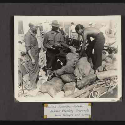 Image of Collins, Summers, and Kalama repacking coconuts from Palmyra and Samoa to replant on Baker, Jarvis and Howland Islands
