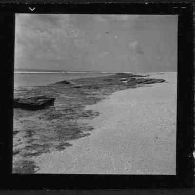 South Seas Expedition Photograph #14