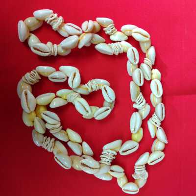 Cowry & Puka Shell necklace
