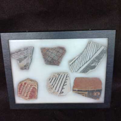 Specimen Box