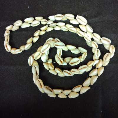 Cowrie shell necklace