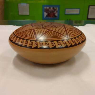 Seedpot
