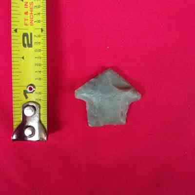 Projectile Point
