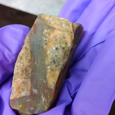 Petrified Wood