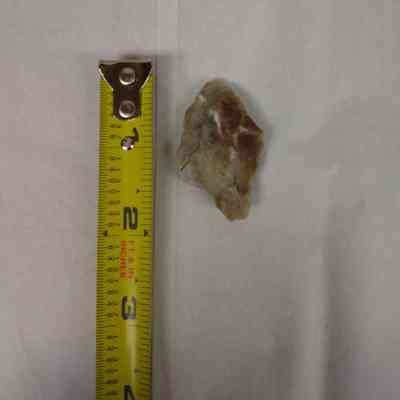 Projectile Point
