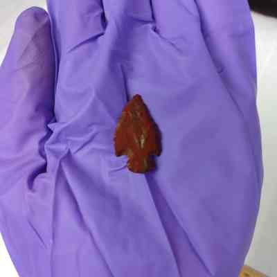 Projectile Point
