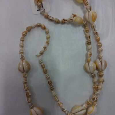 Cowrie and Small Shell necklace