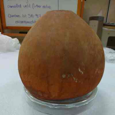 Gourd Container