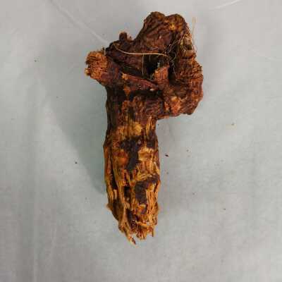 Copal