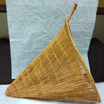 Fish Trap