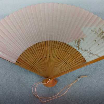 Fan with box