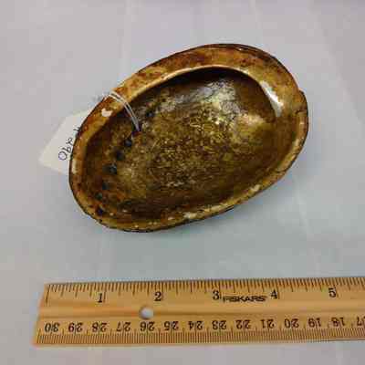 Shell Vessel