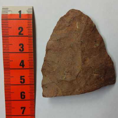 Large Projectile Point