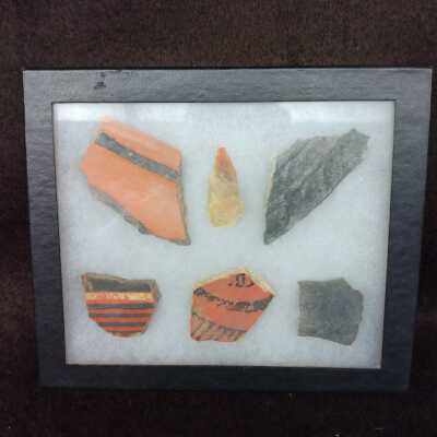 Specimen Box