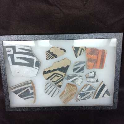Specimen Box