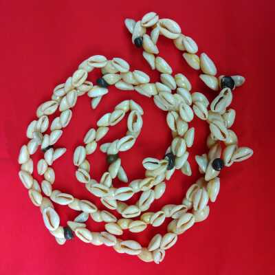 Cowrie and snail shell necklace
