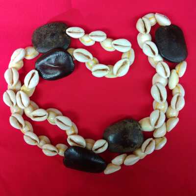 Cowrie and seed pod necklace