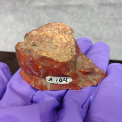 Small Jasper Lithic