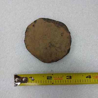 Pot Sherd