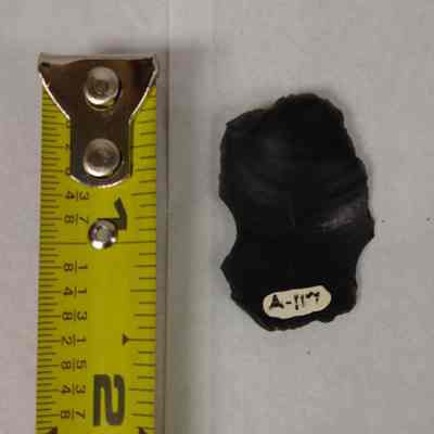 Fused Shale Flake