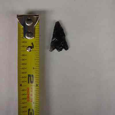 Projectile point