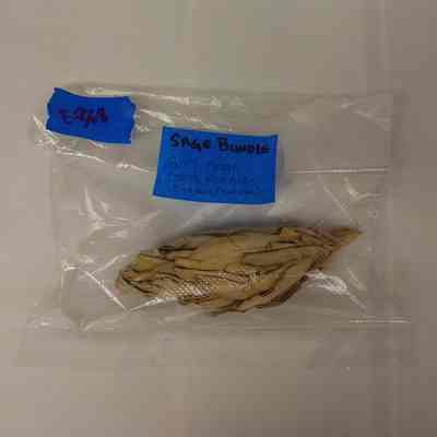 Sage Bundle
