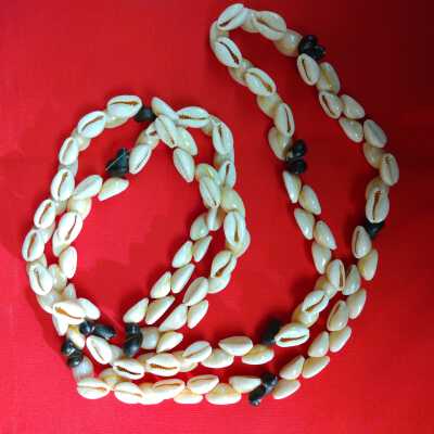 Cowrie and snail shell necklace